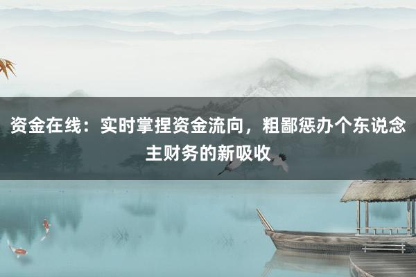 资金在线：实时掌捏资金流向，粗鄙惩办个东说念主财务的新吸收
