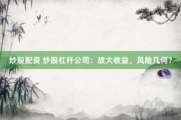 炒股配资 炒股杠杆公司：放大收益，风险几何？